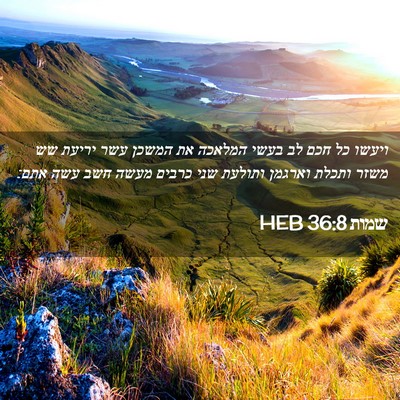 Picture 02 - שמות 36:8 HEB - ויעשו כל חכם לב בעשי המלאכה - Bible Verse Picture