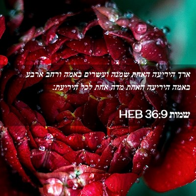 Picture 02 - שמות 36:9 HEB - ארך היריעה האחת שמנה - Bible Verse Picture