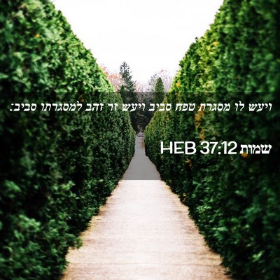 Picture 02 - שמות 37:12 HEB - ויעש לו מסגרת טפח סביב ויעש - Bible Verse Picture