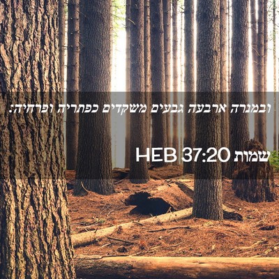 Picture 02 - שמות 37:20 HEB - ובמנרה ארבעה גבעים משקדים - Bible Verse Picture