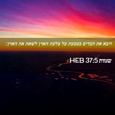 Picture 02 - שמות 37:5 HEB - ויבא את הבדים בטבעת על צלעת - Bible Verse Picture