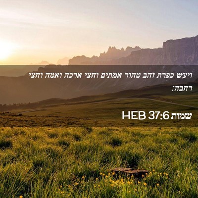 Picture 02 - שמות 37:6 HEB - ויעש כפרת זהב טהור אמתים - Bible Verse Picture