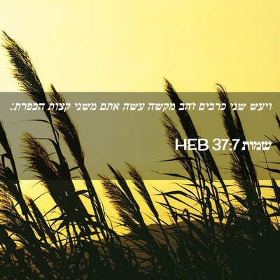 Picture 02 - שמות 37:7 HEB - ויעש שני כרבים זהב מקשה עשה - Bible Verse Picture