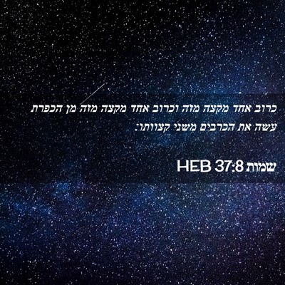 Picture 02 - שמות 37:8 HEB - כרוב אחד מקצה מזה וכרוב אחד - Bible Verse Picture