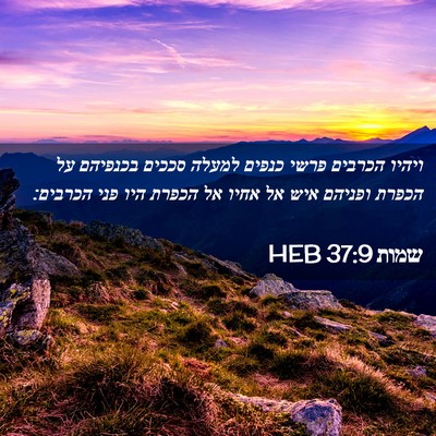 Picture 02 - שמות 37:9 HEB - ויהיו הכרבים פרשי כנפים - Bible Verse Picture