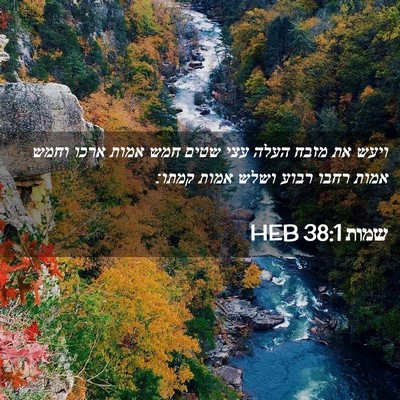 Picture 02 - שמות 38:1 HEB - ויעש את מזבח העלה עצי שטים - Bible Verse Picture