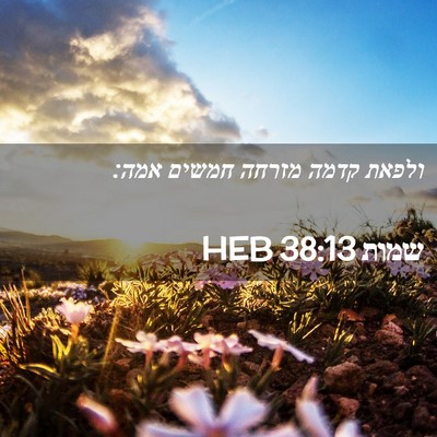 Picture 02 - שמות 38:13 HEB - ולפאת קדמה מזרחה חמשים - Bible Verse Picture