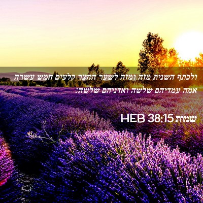 Picture 02 - שמות 38:15 HEB - ולכתף השנית מזה ומזה לשער - Bible Verse Picture