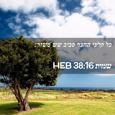 Picture 02 - שמות 38:16 HEB - כל קלעי החצר סביב שש - Bible Verse Picture