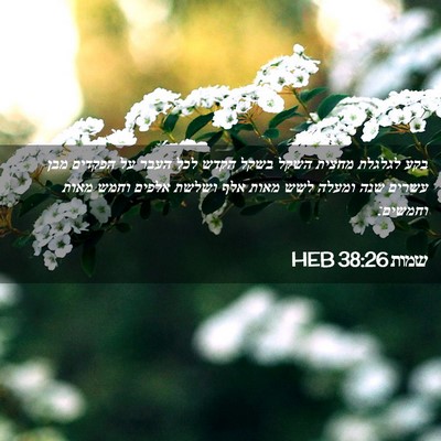Picture 02 - שמות 38:26 HEB - בקע לגלגלת מחצית השקל בשקל - Bible Verse Picture