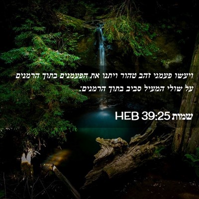 Picture 02 - שמות 39:25 HEB - ויעשו פעמני זהב טהור ויתנו - Bible Verse Picture