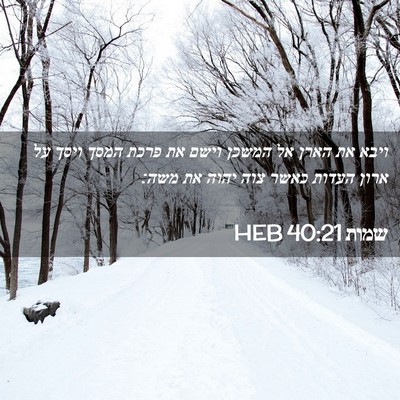 Picture 02 - שמות 40:21 HEB - ויבא את הארן אל המשכן וישם - Bible Verse Picture