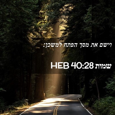 Picture 02 - שמות 40:28 HEB - וישם את מסך הפתח - Bible Verse Picture