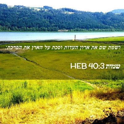 Picture 02 - שמות 40:3 HEB - ושמת שם את ארון העדות וסכת - Bible Verse Picture