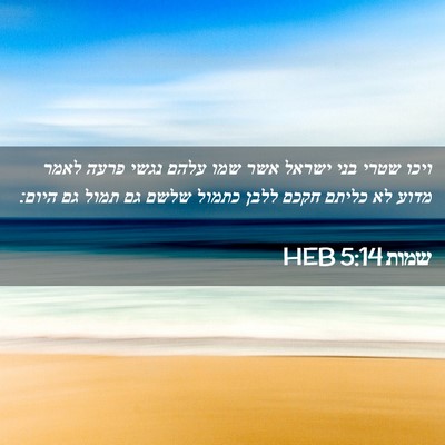Picture 02 - שמות 5:14 HEB - ויכו שטרי בני ישראל אשר שמו - Bible Verse Picture