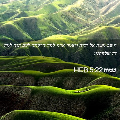 Picture 02 - שמות 5:22 HEB - וישב משה אל יהוה ויאמר אדני - Bible Verse Picture