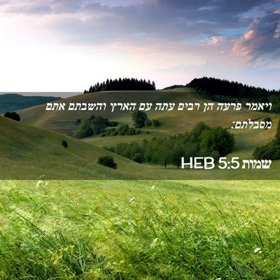 Picture 02 - שמות 5:5 HEB - ויאמר פרעה הן רבים עתה עם - Bible Verse Picture