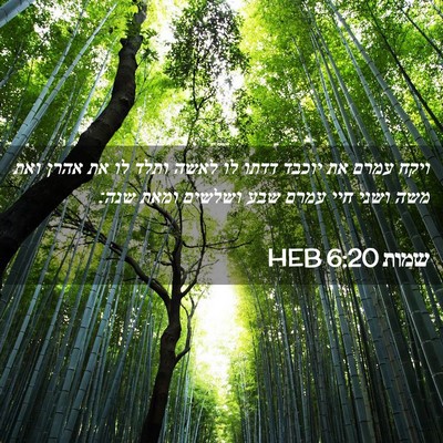 Picture 02 - שמות 6:20 HEB - ויקח עמרם את יוכבד דדתו לו - Bible Verse Picture