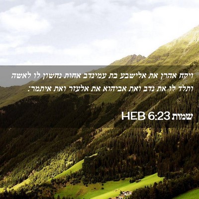 Picture 02 - שמות 6:23 HEB - ויקח אהרן את אלישבע בת - Bible Verse Picture