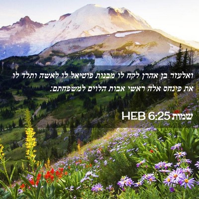 Picture 02 - שמות 6:25 HEB - ואלעזר בן אהרן לקח לו מבנות - Bible Verse Picture