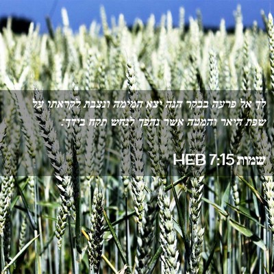 Picture 02 - שמות 7:15 HEB - לך אל פרעה בבקר הנה יצא - Bible Verse Picture