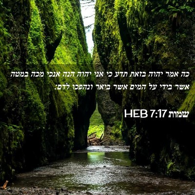 Picture 02 - שמות 7:17 HEB - כה אמר יהוה בזאת תדע כי אני - Bible Verse Picture
