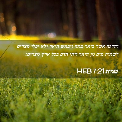 Picture 02 - שמות 7:21 HEB - והדגה אשר ביאר מתה ויבאש - Bible Verse Picture