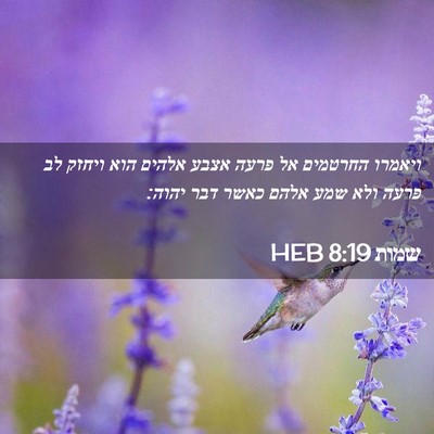 Picture 02 - שמות 8:19 HEB - ויאמרו החרטמים אל פרעה - Bible Verse Picture
