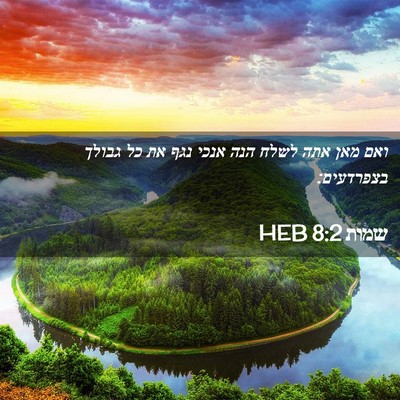 Picture 02 - שמות 8:2 HEB - ואם מאן אתה לשלח הנה אנכי - Bible Verse Picture