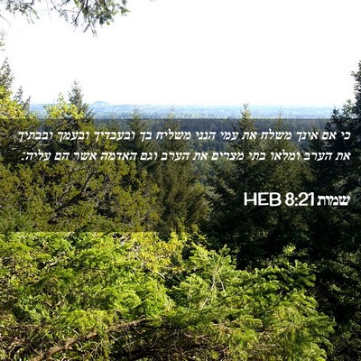 Picture 02 - שמות 8:21 HEB - כי אם אינך משלח את עמי הנני - Bible Verse Picture