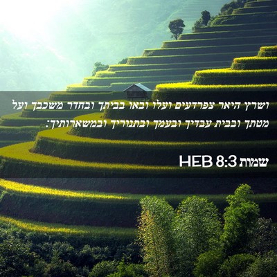 Picture 02 - שמות 8:3 HEB - ושרץ היאר צפרדעים ועלו - Bible Verse Picture