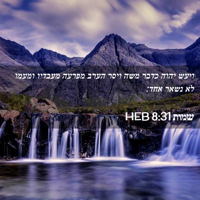 Picture 02 - שמות 8:31 HEB - ויעש יהוה כדבר משה ויסר - Bible Verse Picture