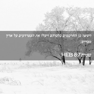 Picture 02 - שמות 8:7 HEB - ויעשו כן החרטמים בלטיהם - Bible Verse Picture
