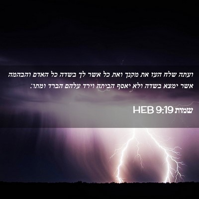 Picture 02 - שמות 9:19 HEB - ועתה שלח העז את מקנך ואת כל - Bible Verse Picture