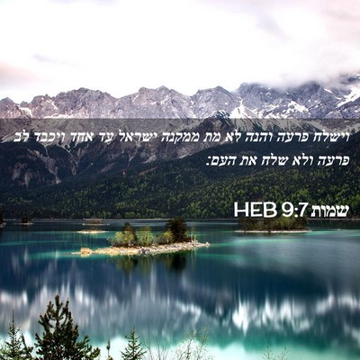 Picture 02 - שמות 9:7 HEB - וישלח פרעה והנה לא מת ממקנה - Bible Verse Picture
