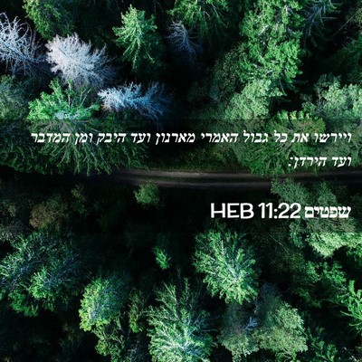 Picture 02 - שפטים 11:22 HEB - ויירשו את כל גבול האמרי - Bible Verse Picture