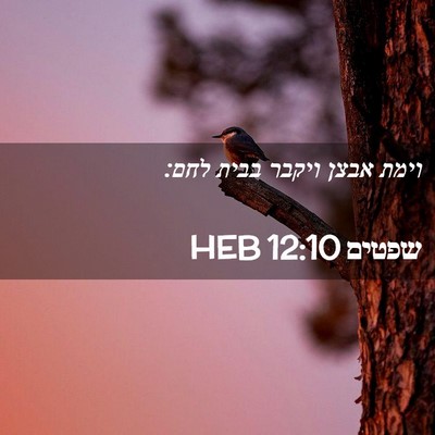 Picture 02 - שפטים 12:10 HEB - וימת אבצן ויקבר בבית - Bible Verse Picture