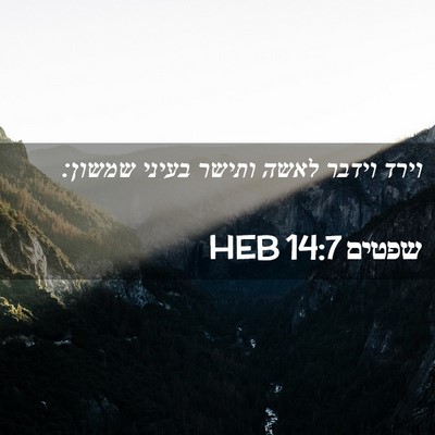 Picture 02 - שפטים 14:7 HEB - וירד וידבר לאשה ותישר - Bible Verse Picture