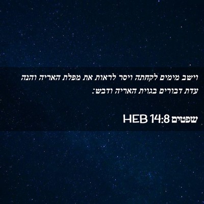 Picture 02 - שפטים 14:8 HEB - וישב מימים לקחתה ויסר - Bible Verse Picture