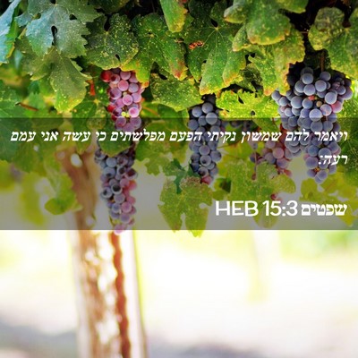 Picture 02 - שפטים 15:3 HEB - ויאמר להם שמשון נקיתי הפעם - Bible Verse Picture