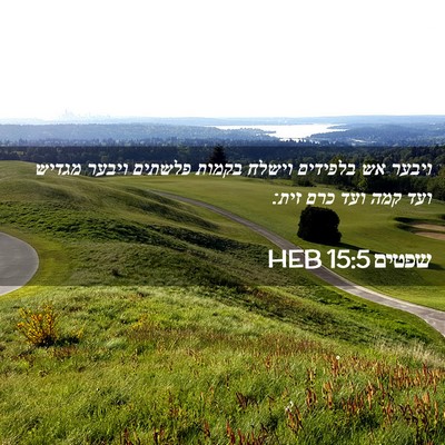 Picture 02 - שפטים 15:5 HEB - ויבער אש בלפידים וישלח - Bible Verse Picture