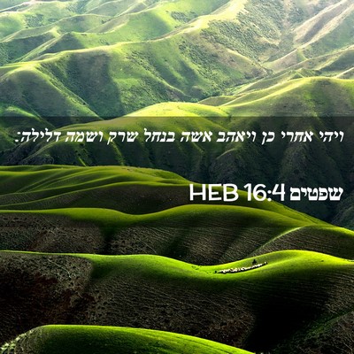 Picture 02 - שפטים 16:4 HEB - ויהי אחרי כן ויאהב אשה בנחל - Bible Verse Picture
