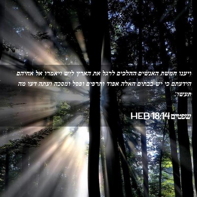 Picture 02 - שפטים 18:14 HEB - ויענו חמשת האנשים ההלכים - Bible Verse Picture