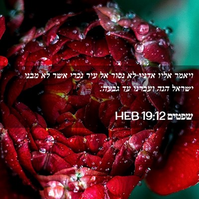 Picture 02 - שפטים 19:12 HEB - ויאמר אליו אדניו לא נסור אל - Bible Verse Picture