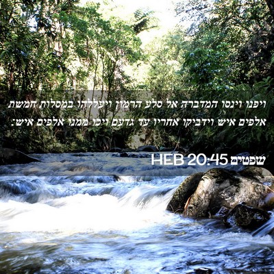 Picture 02 - שפטים 20:45 HEB - ויפנו וינסו המדברה אל סלע - Bible Verse Picture