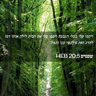 Picture 02 - שפטים 20:5 HEB - ויקמו עלי בעלי הגבעה ויסבו - Bible Verse Picture