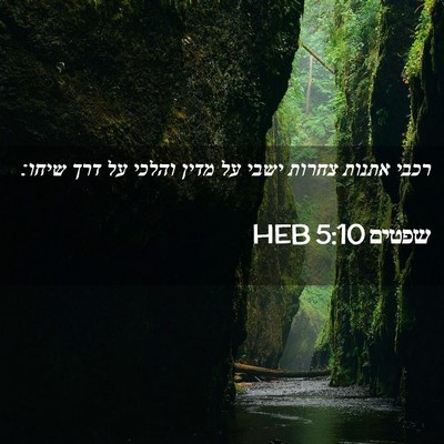 Picture 02 - שפטים 5:10 HEB - רכבי אתנות צחרות ישבי על - Bible Verse Picture