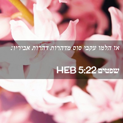 Picture 02 - שפטים 5:22 HEB - אז הלמו עקבי סוס מדהרות - Bible Verse Picture
