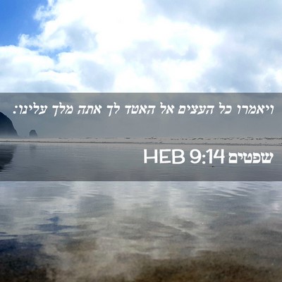 Picture 02 - שפטים 9:14 HEB - ויאמרו כל העצים אל האטד לך - Bible Verse Picture