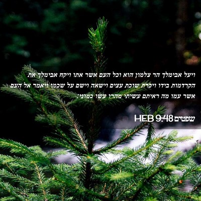 Picture 02 - שפטים 9:48 HEB - ויעל אבימלך הר צלמון הוא - Bible Verse Picture